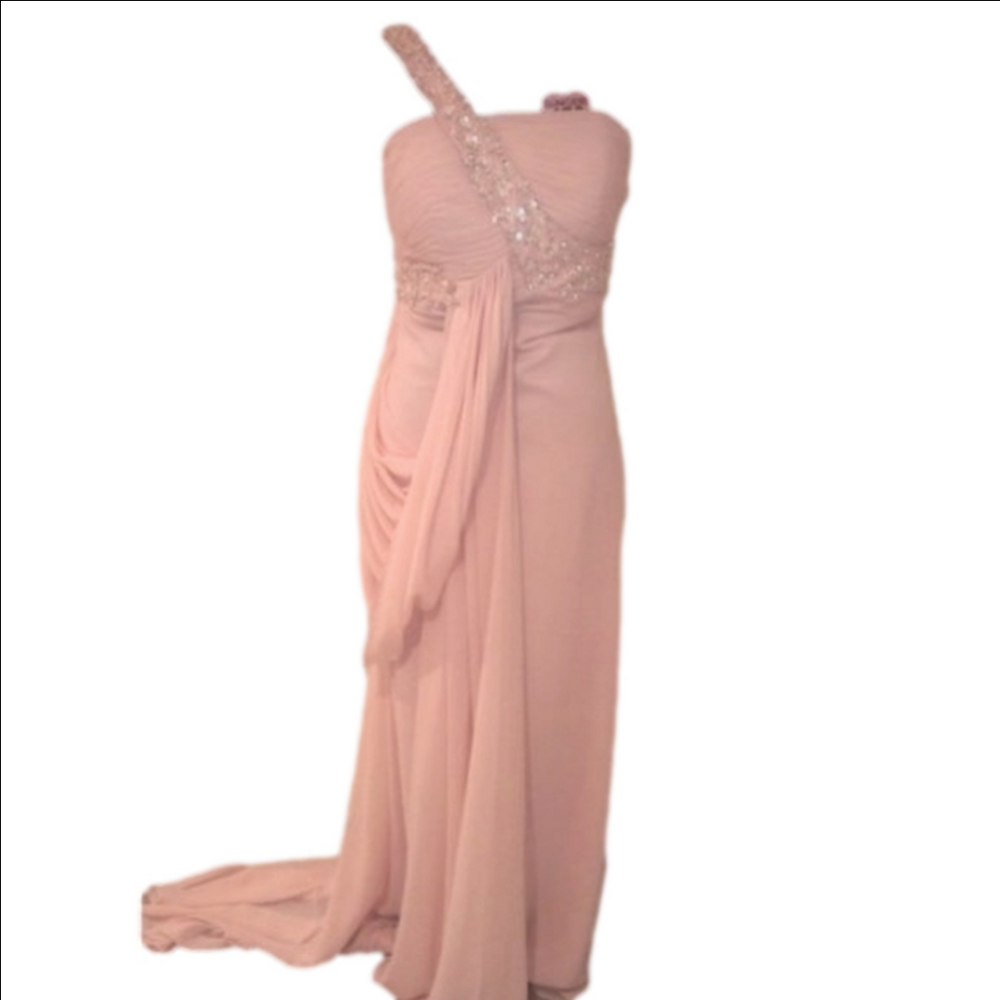 Blush Pink Long Chiffon Plus Size Prom Pageant Formal Ball Gown